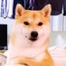 不知名网络冲澡选手 (@song70839842) Twitter profile photo 不知名网络冲澡选手 (@song70839842) Twitter profile photo
