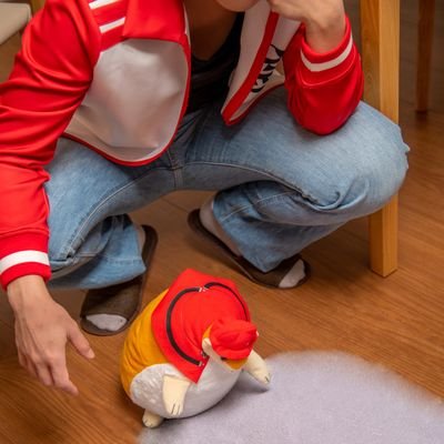 猫本さんの仮装垢さんのプロフィール画像
