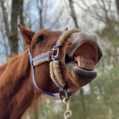 QuantensprungVS's profile picture. Hypnose, Coaching und Lebensberatung