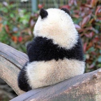 PP04145877's profile picture. 久しぶりにＰ活しようと思います！理想の定期さんを求めて！🍵🍽健全のみでもＯＫです！細身で清楚な雰囲気の方がタイプです！あとは一緒にお酒も楽しみたいです！都内 お顔合わせからお願いします。こちら40代、見た目は普通かと、、、イケメンではないですが清潔感はある方だと思います！