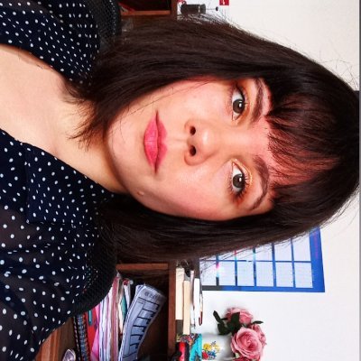 Brazilian lawyer. Master's degree student in Comparative law at University of Paris Panthéon-Sorbonne; Data protection enthusiast; Intern at @AliasCodeislaw.