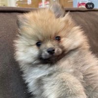 まる (@ndxtyjedksfr2dg) 's Twitter Profile