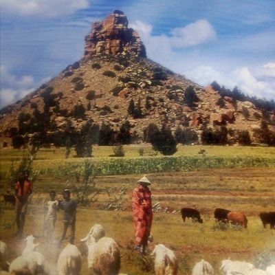 Joe63651661's profile picture. Die Bleksem Buddy💪💪