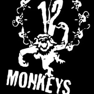 12 Monkeys Capital is an investment institution that conducts venture capital for early projects in the currency circle.