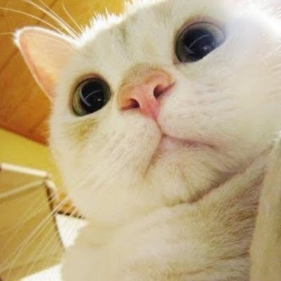 moralcode897's profile picture. 