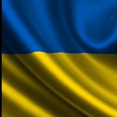 schnaell's profile picture. 