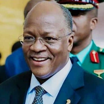 vildmir's profile picture. Engineer