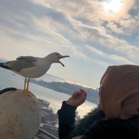 Halime Aktürk (@hlmaktrk) Twitter profile photo