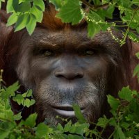 Man-Tracker (@tracker6man) 's Twitter Profile