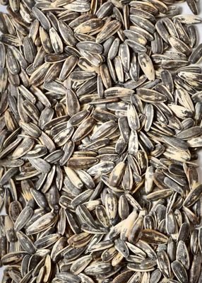 SpittingSeedsBB's profile picture. Writer at The Dynasty Guru and talking baseball with Out of Rhythm Fantasy Sports

Join the community! https://t.co/80FAnmFpoQ