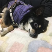 ふじ9 (@exubm) 's Twitter Profile