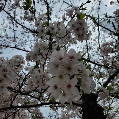 yuuuna53130919's profile picture. 情報収集✨Kis-My-Ft2☆Snow Man☆