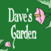 DavesGarden.com (@davesgardenteam) Twitter profile photo DavesGarden.com (@davesgardenteam) Twitter profile photo