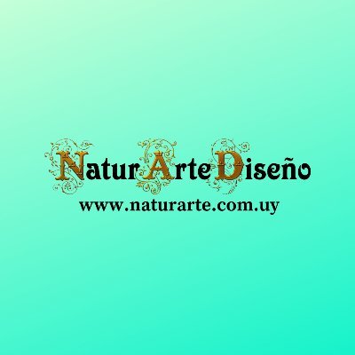 Andrea Hernández NaturArte Diseño