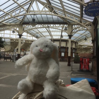 Just a small rabbit riding the rails and sharing the views alongside my friend Tolpuddle Ted