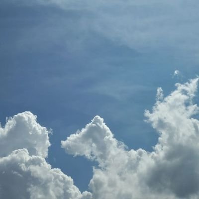 Lalala28701720's profile picture. .