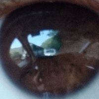 The_Elder (@the_eldersv) 's Twitter Profile Photo The_Elder (@the_eldersv) 's Twitter Profile Photo