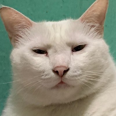 Meowniacさんのプロフィール画像