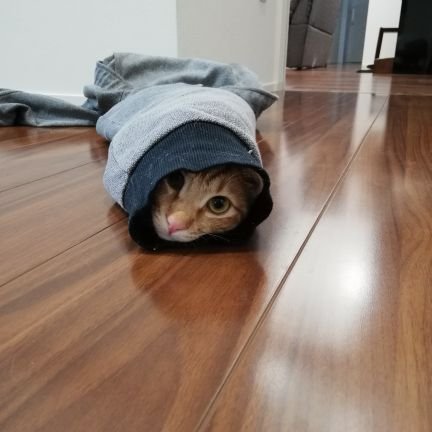 YOspPzFfOf5p1Ue's profile picture. 