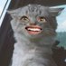 Nayaa (@nayeczka) Twitter profile photo Nayaa (@nayeczka) Twitter profile photo