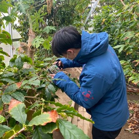 コーヒーの生産側やりたくて勉強中🇮🇩🇵🇦 東京農業大学にコーヒーサークル設立しました。是非覗いてみて下さい。公式だよ @nodaicoffeenoki 20サイ インスタ ⇩ https://t.co/ajHbNGYamn