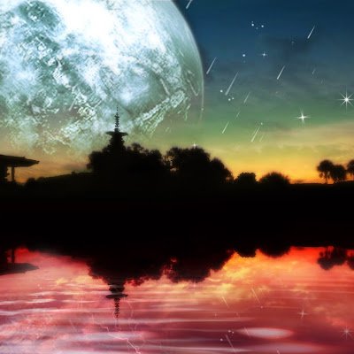 _TuanNg's profile picture. 