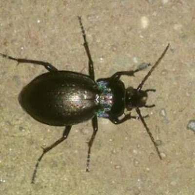 ubot4072's profile picture. No