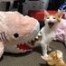 Meow Meow (@itscatbabyyy) Twitter profile photo Meow Meow (@itscatbabyyy) Twitter profile photo