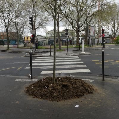 mireilledeparis's profile picture. 