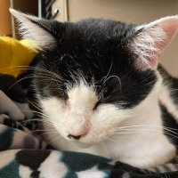 mimeâŽïžååŒå¢å°çš (@mimemi555) 's Twitter Profile Photo mimeâŽïžååŒå¢å°çš (@mimemi555) 's Twitter Profile Photo