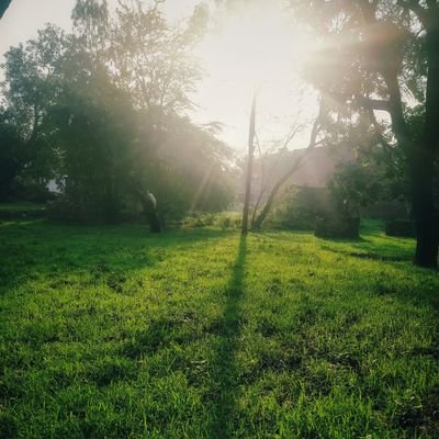 nothing10995438's profile picture. Part time photographer 🙂
Love watching cricket