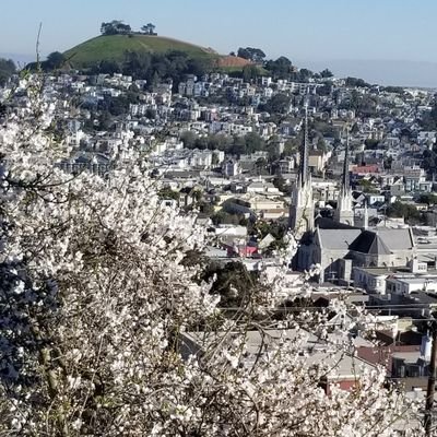 fandradeg's profile picture. Guy living in the SF Bay Area (When weather there is OK), enjoying computers, gardening, guitar playing, DIY, watching stocks/economy, paleontology/history...