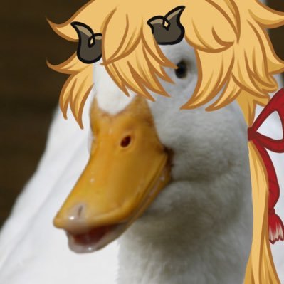 🦆🧡Duck Thoma🧡🦆さんのプロフィール画像