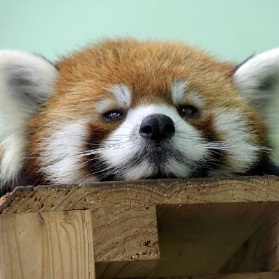 maroso_akwan's profile picture. Software Engineer