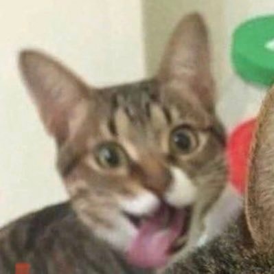 g_phoebs's profile picture. 