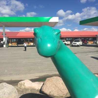 marcfishman's profile picture. pescado hombre