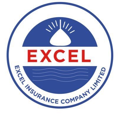 Excel Insurance Company Profile