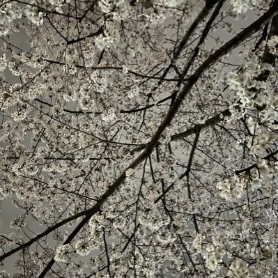 江洲　憩さんのプロフィール画像