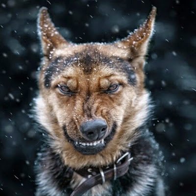 arsn93's profile picture. 