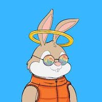 Crypto harriet (@ccryptobucks) 's Twitter Profile