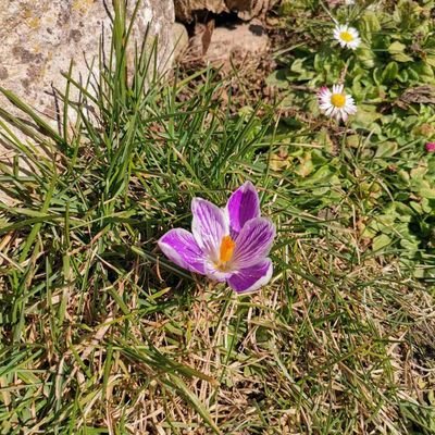 MoskovaDaiana's profile picture. 