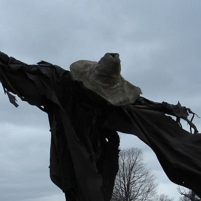 DailyScarecrowsさんのプロフィール画像