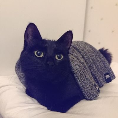 NanaAcademics's profile picture. 