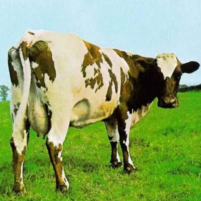 RouinaB's profile picture. 