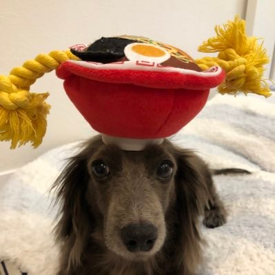 アイコンは愛犬のチョコ🐶いいね👍リツイートありがとうございます😄 中華蕎麦志のココラーです🍜ファッション、車、ラーメン大好き😋 『まずい』と表現する人正直苦手です。僕に関わっただいたいの人が少しでもクスッと笑ってくれるようなツイートしていきます。ひたちなか市周辺の飲食店を応援📣盛り上げていきますよー💪