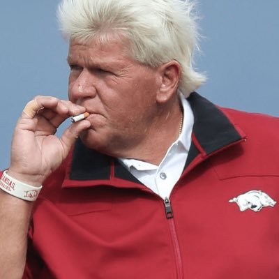 CallinTheHogs's profile picture. Razorback fan guy, questionable sports takes. Probably calling the hogs rn