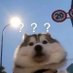 ifdjd (@ifdjd3) Twitter profile photo ifdjd (@ifdjd3) Twitter profile photo