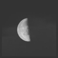 Rootbit (@rootbit01) 's Twitter Profile