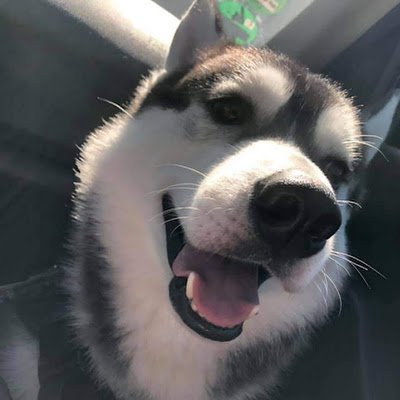 howard_tech's profile picture. 