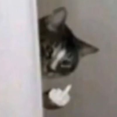 EnsaladaZ's profile picture. boop